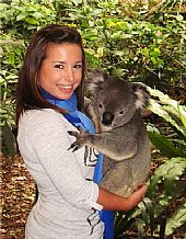 En Brisbane (Australia) con los koalas