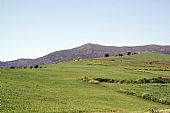 Naturaleza y molinos