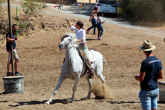 lora acoge el I Encuentro Caballista