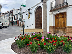 El Ayuntamiento planta flores de temporada para engalanar el municipio