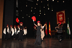 lora celebra el da de Andaluca